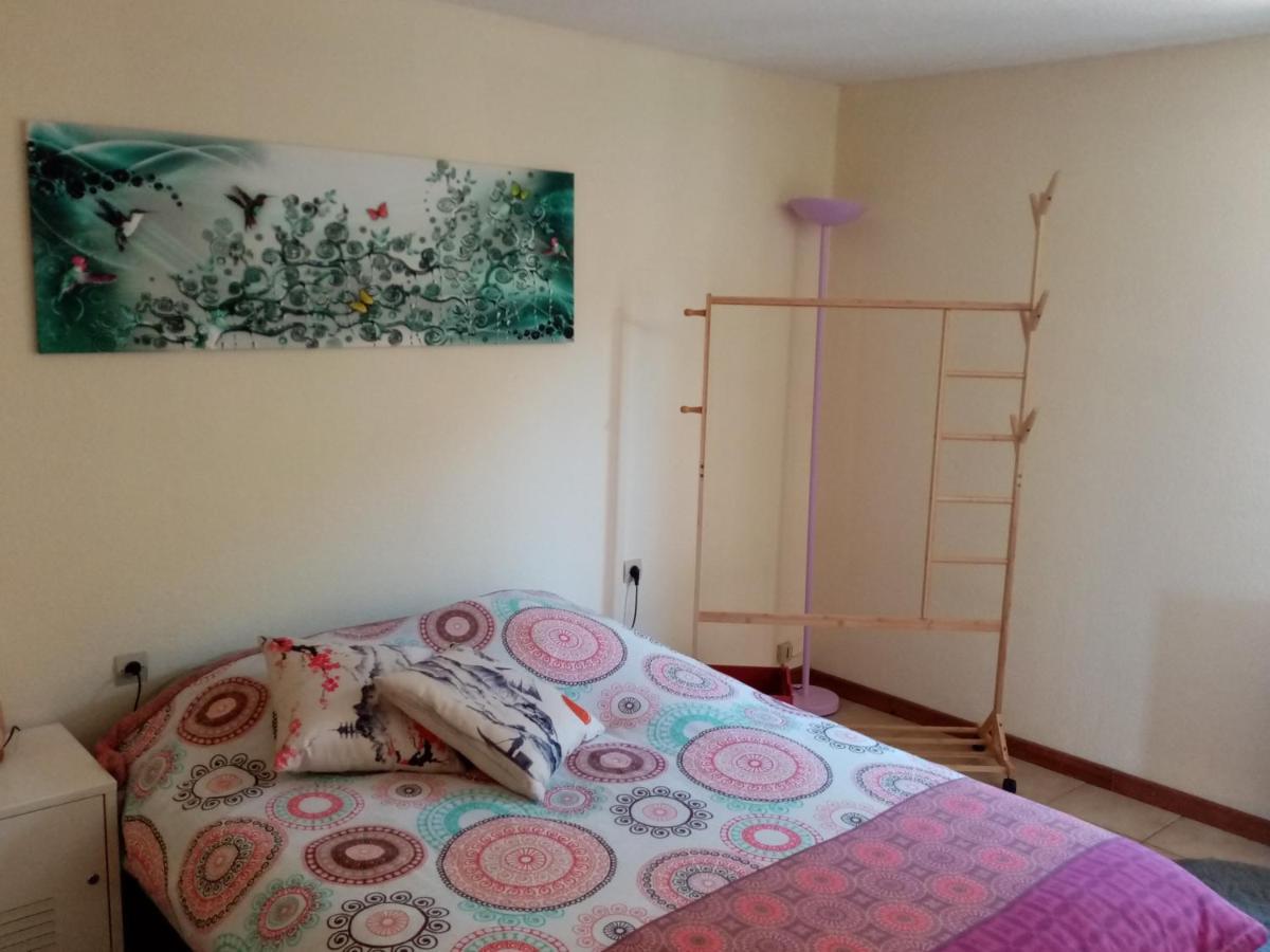 Hysope Appartement Chateau-Arnoux-Saint-Auban Buitenkant foto