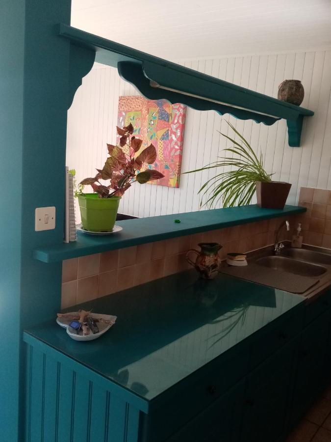 Hysope Appartement Chateau-Arnoux-Saint-Auban Buitenkant foto