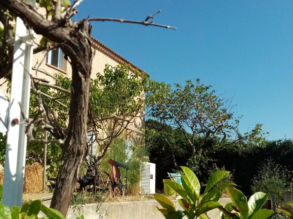 Hysope Appartement Chateau-Arnoux-Saint-Auban Buitenkant foto
